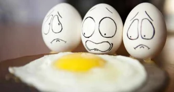 Яйца категории С0: стоит ли выбирать самые крупные? Советы экспертов