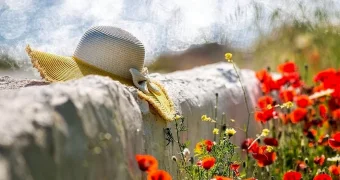 Откровения, которые перевернут жизнь: судьбоносное лето для трёх знаков