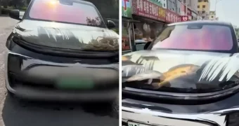 Жестокий «тюнинг»: житель Китая превратил капот авто в настоящий аквариум и вызвал волну возмущения в Сети
