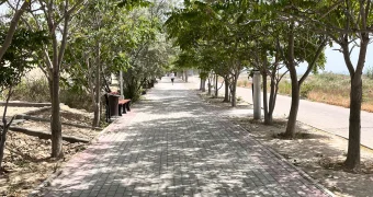 В Актау водителя оштрафовали за езду на набережной