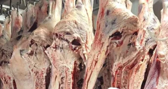 Минсельхоз ответил на опасения о безопасности мяса сайги