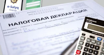 Декларация по форме 270: налоговики объяснили, как казахстанцам правильно заполнять строку B3