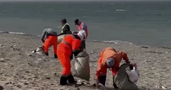 После отдыха горожан  c пляжа в Актау вывезли 15 тонн мусора