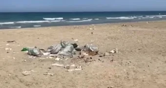 Жители Актау возмущены поведением отдыхающих на пляже