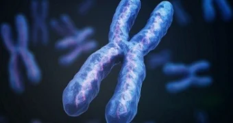 Ученые сообщили о лечении болезни пациентов с синдромом Дауна