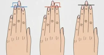 Бросьте взгляд на свои руки и всё будет ясно: тест на определение ведущих черт вашего характера