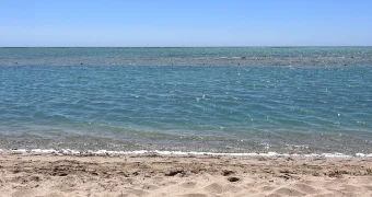 Миллионы долларов требуются для мониторинга Каспия на побережьях Мангистауской и Атырауской областей