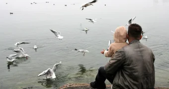 Китай начнет выплачивать по 500 долларов в год на ребёнка: власти борются с падением рождаемости