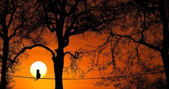 Солнце готовит сюрприз на 2 и 3 августа: ожидаются мощные вспышки