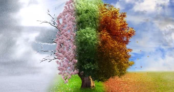 Сезоны “сбились с ритма” — и это уже влияет на миллиарды людей