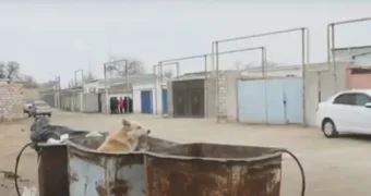 Жители пригорода Актау уже 20 лет живут без статуса и базовых услуг