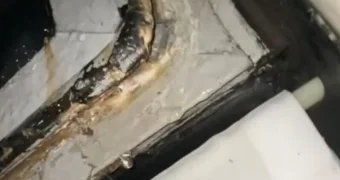 Скандал с «протекающим» вагоном: КТЖ не признали вагон, пока не вмешалось Минтранспорта