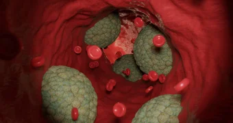 Названы три ключевых витамина для защиты сосудов