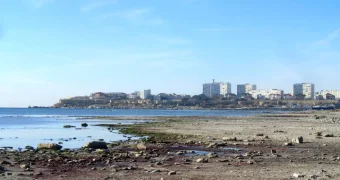 Обречено ли Каспийское море на обмеление? Мнение эколога