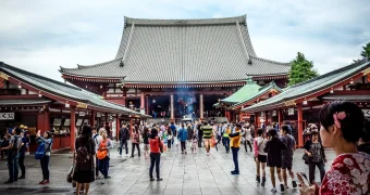 «Крыс едва ли не больше, чем самих китайцев»: туристка поделилась впечатлением от главного курорта Китая