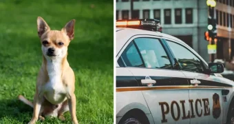 Американская трагедия: пара прятала тело друга и пользовалась его банковской картой