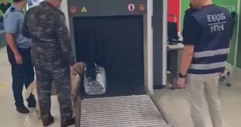 Иностранцу в Казахстане грозит срок за попытку подзаработать