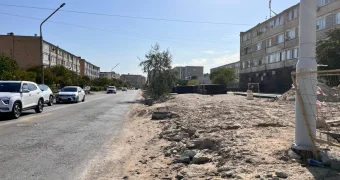 В Актау снова спиливают деревья