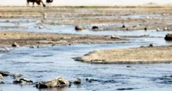 Ядовитая рана Мангистау: хвостохранилище «Кошкар-Ата» назвали прямой угрозой будущим поколениям