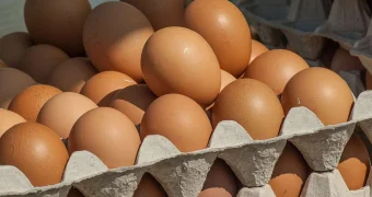 Мыть или не мыть куриные яйца: эксперты поставили точку в спорах