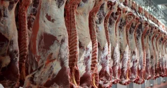 Что не так с говядиной в Казахстане: скот пускают под нож вместо содержания