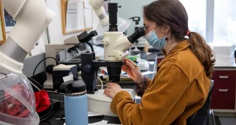 Раскрыта тайна страшнейшей эпидемии в истории человечества