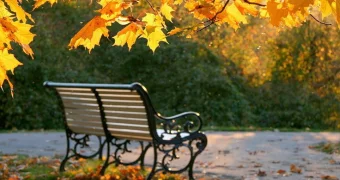 Неожиданные повороты сентября: когда стоит быть максимально осторожными