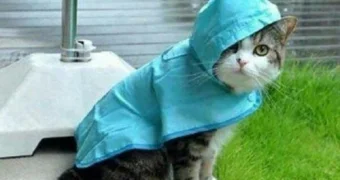 Осень на пороге: Казахстан ждет резкое похолодание