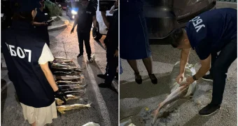 У женщины изъяли более 40 кг осетровых в Актау