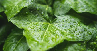 Сильная жара и дожди: синоптики рассказали о погоде в Мангистау в ближайшие дни