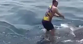 В Иране мужчина забрался на спину китовой акулы и попрыгал на ней