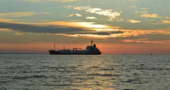 Опасные «пассажиры»: суда заносят в Каспий чужеродных обитателей