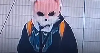 Полиция задержала женщину в кошачьей маске, размахивавшую ножами в магазине