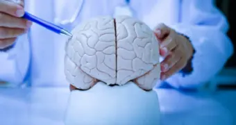 Ученые выяснили, как служба в армии влияет на мозг