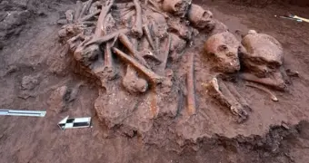 В Британии под зданием магазина нашли 317 скелетов