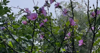 Какая погода ждет жителей Мангистау в ближайшие дни