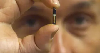 Почти треть россиян уверены, что их тайно чипируют