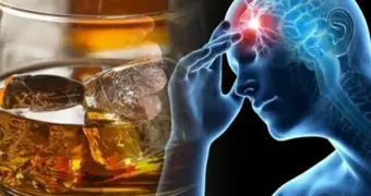 В мозге нашли «выключатель» алкогольной зависимости