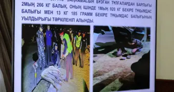 В Мангистауской области не снижается количество правонарушений природоохранного законодательства