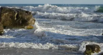 Более 300 млн тенге направят на создание института Каспия