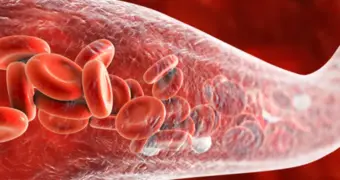 Кардиолог назвал ключевые привычки для здоровья сосудов