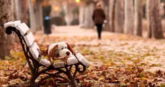 Названа главная причина постоянной усталости осенью