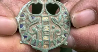 Британец поразился, узнав, чем на самом деле является найденная «детская игрушка»