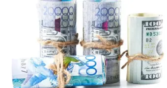 Кого в Казахстане будут наказывать за незаконный вывод пенсионных средств