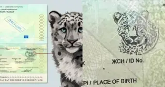 В Казахстане стартовала выдача паспортов с «невидимым барсом»: что изменилось