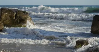 S.O.S: в Актау пройдет модный перформанс в защиту Каспия