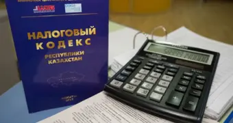 Почти 800 сфер бизнеса исключили из «упрощёнки» в Казахстане: полный список