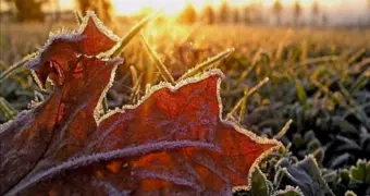 Осторожнее на трассах: синоптики предупредили казахстанцев о резком изменении погоды 28 сентября