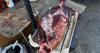 В Атырау начали продавать мясо сайгака