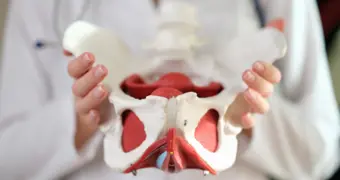 Офисная работа убивает: почему тазобедренный сустав разрушается к 40 годам